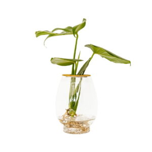 24cm-Barrel-vase-with-Delicious-Monster.jpeg Barrel Vase with Delicious Monster