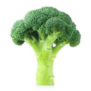 Broccoli 200 Plug Tray
