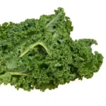 Kale Chou Moellier 6 Pack Tray