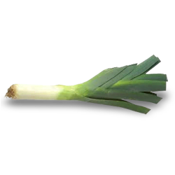 Leeks-Porbella.png Leeks Porbella 200 Plug Tray