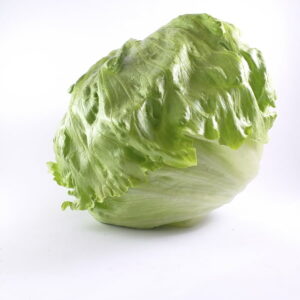 Lettuce-Head.jpg Lettuce Head 200 Plug Tray