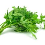 Parsley 200 Plug Tray