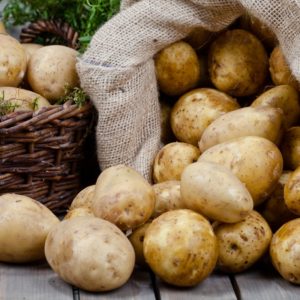 Seed Potatoes - Mondial Seed Potatoes - Mondial