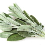 Sage (LTD) 6 Pack Tray