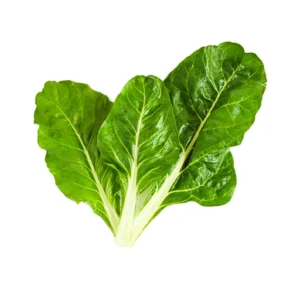 Spinach-Swiss-Chard.webp Spinach Swiss Chard 200 Plug Tray