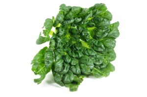 Tatsoi 6 Pack Tray