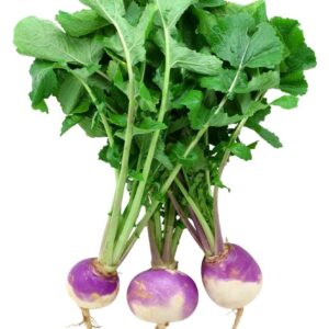 Turnips-200-Plug-Tray.jpg Turnips 200 Plug Tray