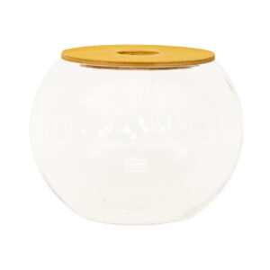 WhatsApp-Image-2022-07-14-at-7.12.38-PM-5.jpeg Fishbowl with Lid - no plant