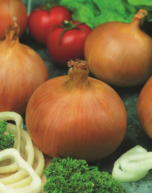 onions-A6.jpg Onion-Mixed Sets Bulbs