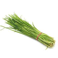 Garlic Chives 6 Pack
