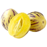 Pepino Melon 15cm Pot