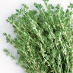 Thyme 12cm Pot