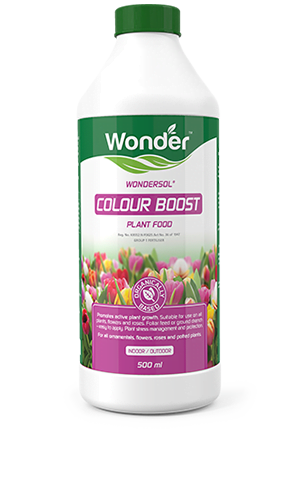 Wonder Colour Boost 500ml