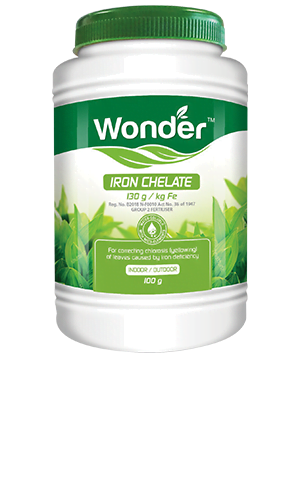 Wonder Iron Chelate 100g