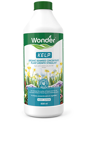 Wonder Kelp 500ml