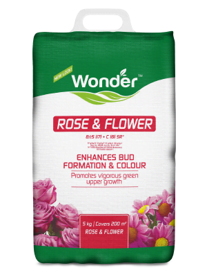 Wonder Rose & Flower 2KG