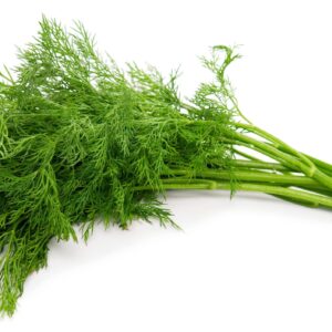 Dill 6 pack
