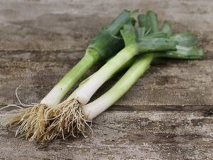 Leeks Carentan 6 pack