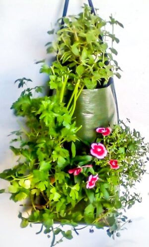 Mobile Garden Herbs