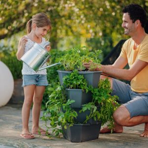 Introducing the New Gusta Garden Range Taste your Garden