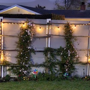 Solar Fairy String Lights