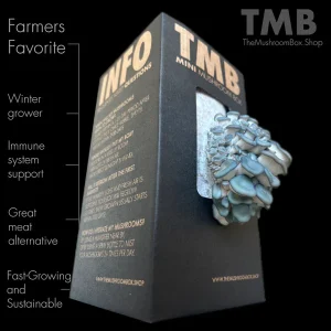 Blue-Oyster-Mushroom-Box.webp Blue Oyster - Mushroom Box