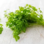 Chervil Anthriscus cerefolium 12cm Pot