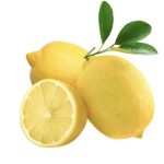 Eureka Lemon Tree 60lt