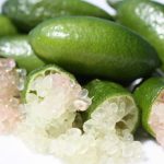 Finger Lime - Caviar Lime 20lt