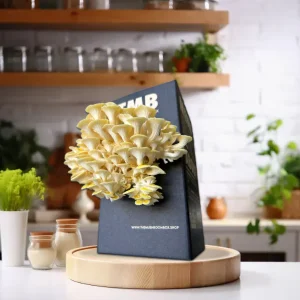 Golden-Oyster-Mushroom-Box2.webp Mushroom Combo Deal