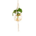 Macrame Hanger with Fishbowl and Philodendron Selloum