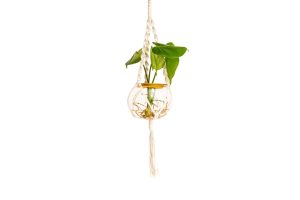 Macrame Hanger with Fishbowl and Delicious Monster
