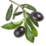 Olive Mission 20lt