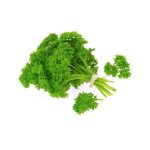 Parsley Moss Curl 12cm Pot