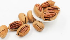 Pecan Nut Tree 20lt
