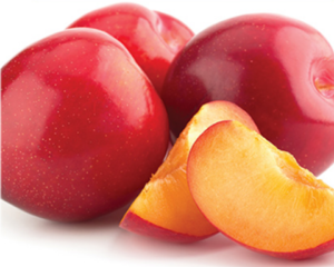 Plum Harry Pickstone Tree 50lt