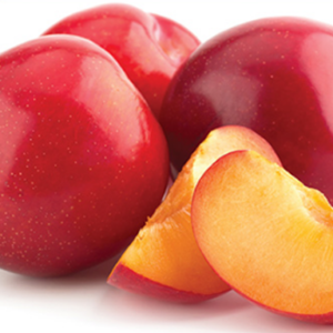 Plum Harry Pickstone Tree 50lt Plum Harry Pickstone Tree 50lt