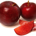 Plum Santa Rosa Tree 50lt