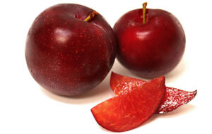 Plum Santa Rosa Tree 50lt