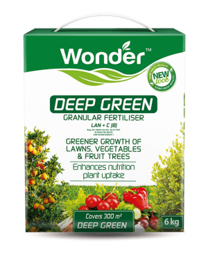 Wonder Deep Green