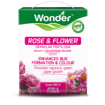 Wonder Rose & Flower