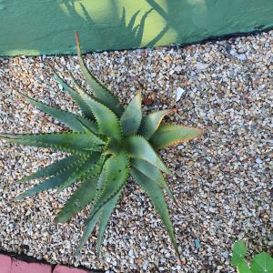 14mm River Stone Mix 16kg Bag