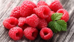 WhatsApp-Image-2023-03-22-at-16.05.17.jpeg Raspberry Bush