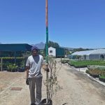 WhatsApp-Image-2024-12-02-at-11.21.30.jpeg Cancer Bush 10lt