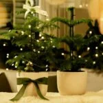 All items On Sale This December