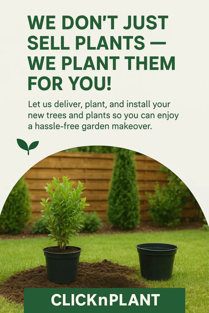 Services offered by clicknplant nursery. We do landscaping and plant installation too