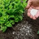 Fertilisers and Plant Treatments