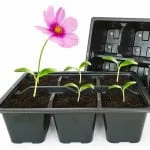 Tray Packs Tray Packs