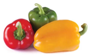 Capsicum Sweet Bell Pepper Mix 4 Pack Tray