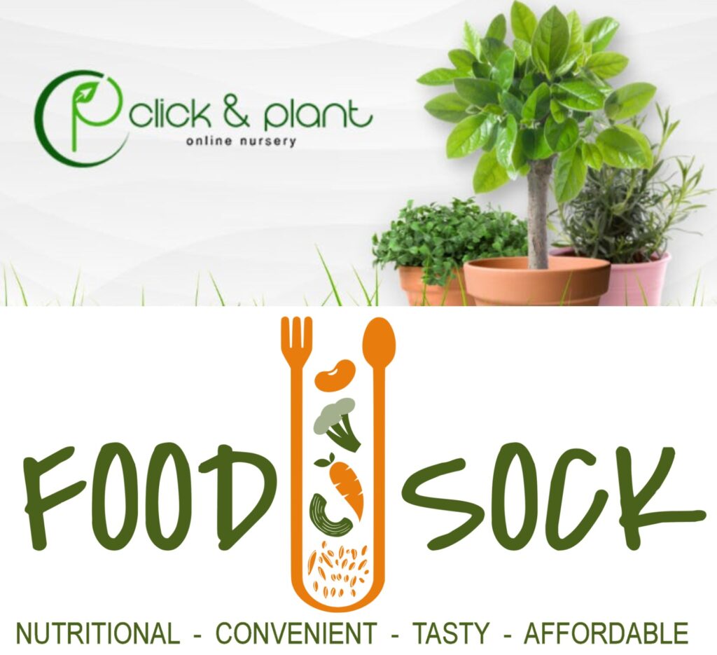 Clicknplant nursery cape town and foodsock have teamed up to help feed the ones in need!